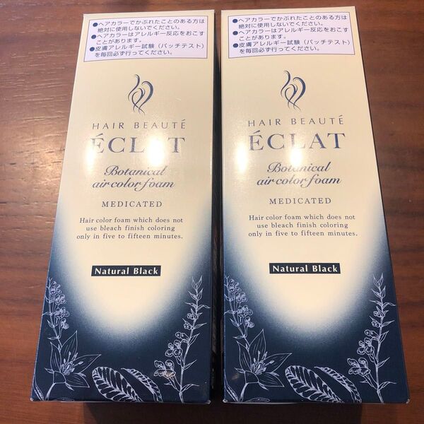 ヘアボーテ エクラ ボタニカル ヘアカラーファーム ヘアボーテエクラ ブラック ヘアボーテEX 80g 2箱 新ヘアボーテ