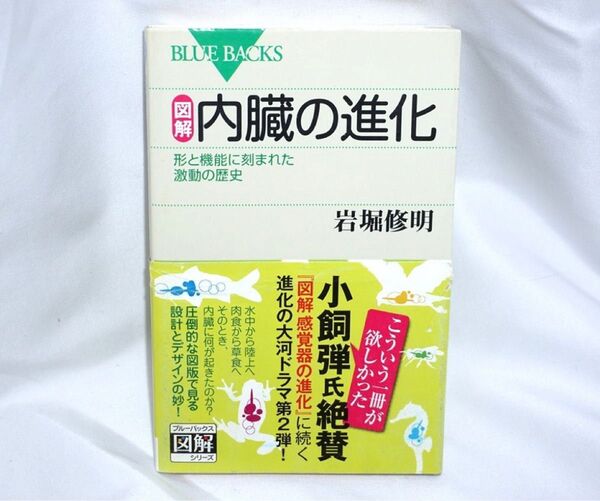★中古本 【 図解・内臓の進化 形と機能に刻まれた激動の歴史 】 岩堀修明 ブルーバックス 講談社