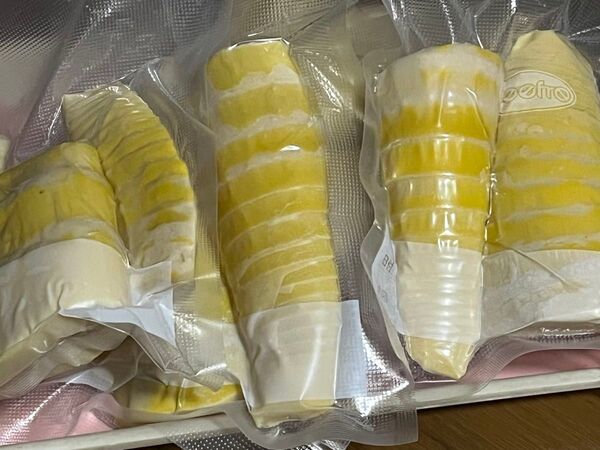たけのこ 真空パック 約1.5kg