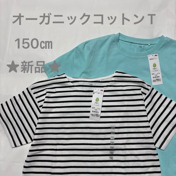 【150】★新品未使用品★ Tシャツ オーガニックコットン キッズ ジュニア セット まとめ