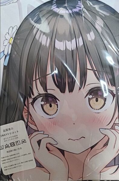5年目の放課後 なぎさ 抱き枕カバー カントク