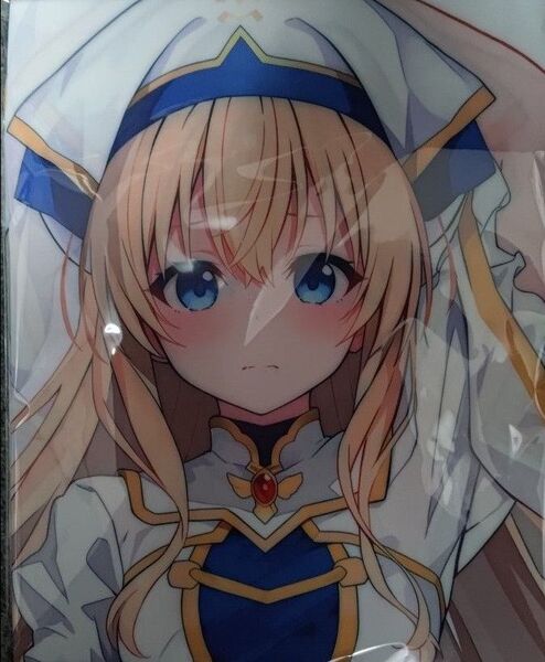 ゴブリンスレイヤー 女神官 抱き枕カバー steamy moon night らうと