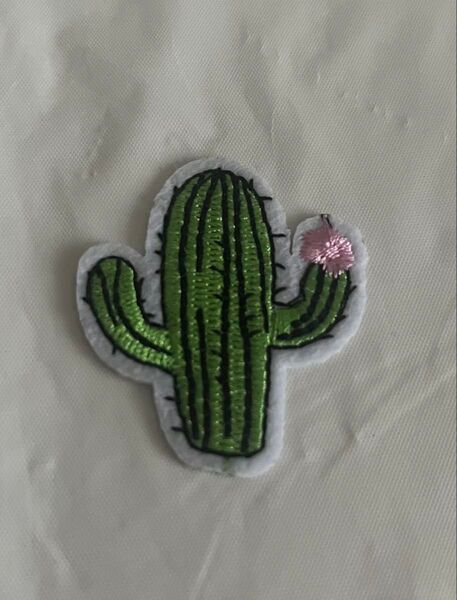未使用 サボテン 刺繍 ワッペン アイロン アップリケ