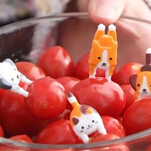 ピック フードピック 動物ピック 爪楊枝 子ども用ピック いぬピック おままごと ホームパーティー お弁当箱 弁当用品 安心安全