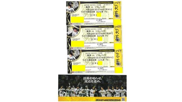 2025年6月22日(日) 14時試合開始 阪神甲子園球場 ライト外野席 おとな2枚こども1枚 阪神タイガース対福岡ソフトバンク