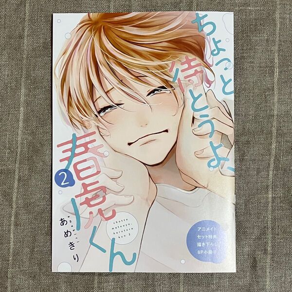 ちょっと待とうよ 春虎くん2 アニメイト限定小冊子 あめきり