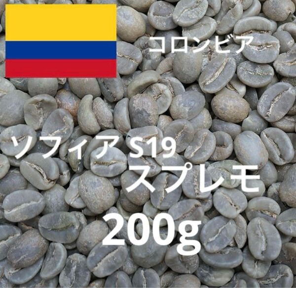 コーヒー生豆 コロンビア ソフィアS19スプレモ 200g