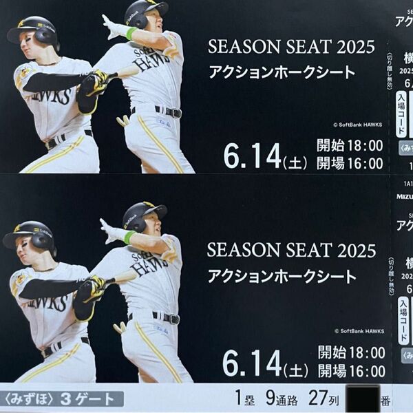 6/14(土)福岡ソフトバンクホークスvs横浜DeNA 交流戦 ペアチケット 通路側