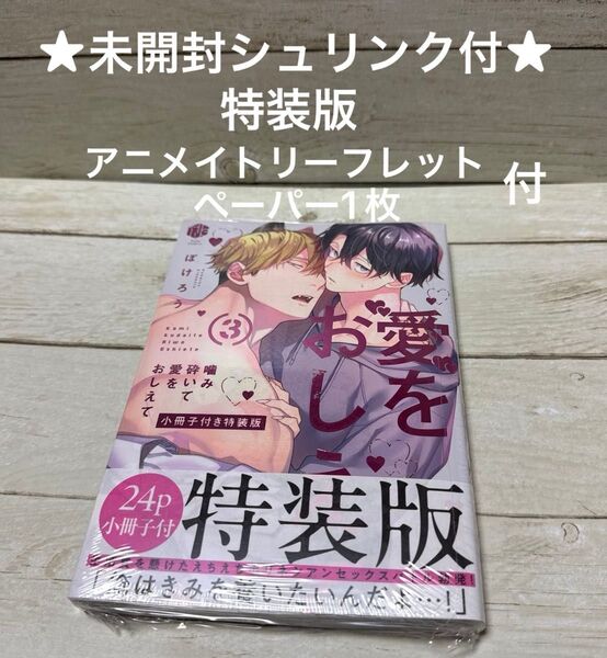 【未開封シュリンク付】噛み砕いて愛をおしえて3 特装版 ぽけろう アニメイトリーフレット・ペーパー1枚付
