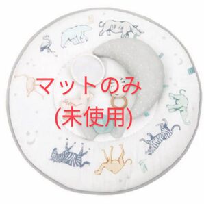 ベビージム アクティビティジム