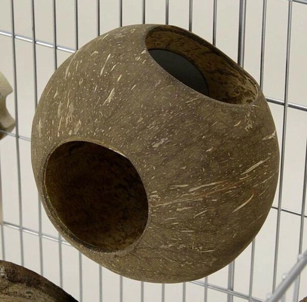 三晃商会 小動物用 ココハウス 隠れ家