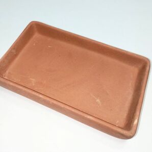 ビバリア ハイドロボックス用ディッシュ 新品