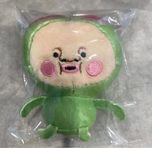 スモモノウチ こびとづかんのぬいぐるみ キーホルダー マスコット ぬいぐるみ ポールチェーン付き