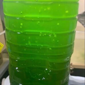 グリーンウォーター約600ml。説明欄必読。