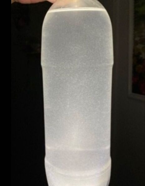 ゾウリムシ培養種水約300ml。説明欄必読。