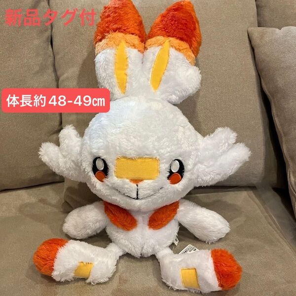 ポケットモンスター めちゃもふぐっとほっこりいやされぬいぐるみ ヒバニー 新品タグ付き