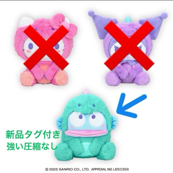 ハンギョドン ダイナソードール BIGぬいぐるみ 新品タグ付き 約30㎝