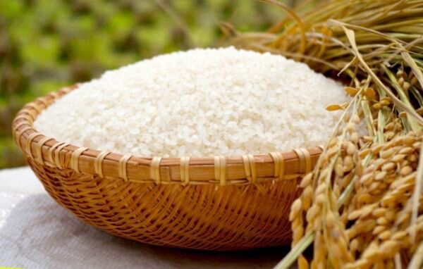 送料込 当店人気のヒノヒカリブレンド!業務用米A 精米 5kg *2袋