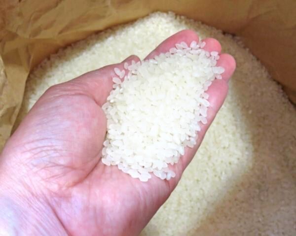 送料込当店いち押しぼっけー米5kg 2pc(すごい美味しいお米)