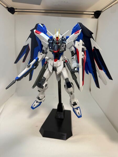 フリーダムガンダムMG ver2.0