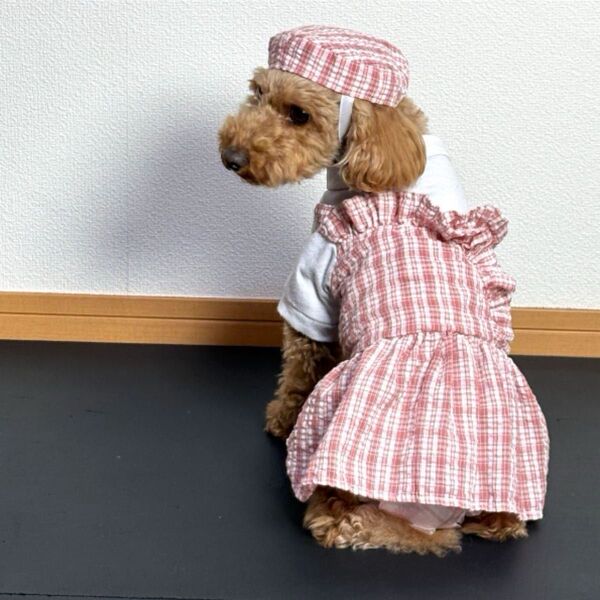 古着ペットウェア ワンピース 犬服 ドッグ フレア フリル チェック 袖あり 重ね着風 帽子付き ガーリー カジュアル