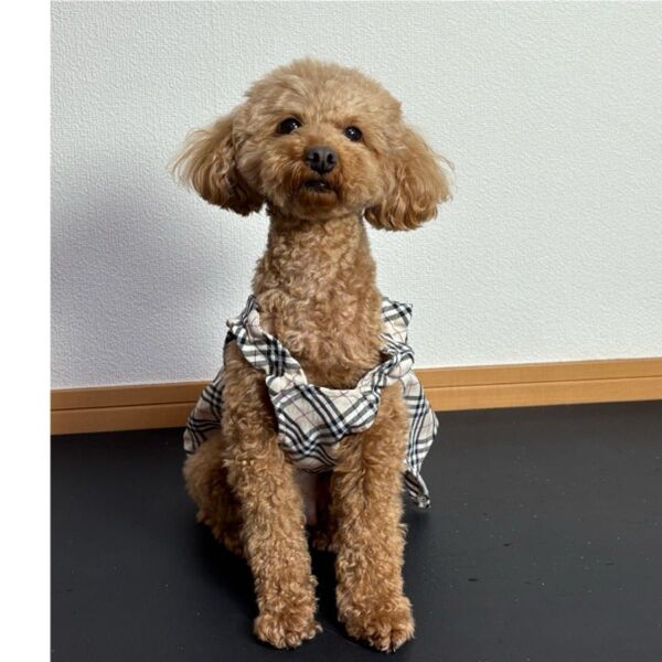 犬用服 古着 チェック柄ワンピース