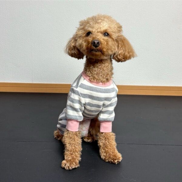 犬用服 古着 ボーダー柄 ロンパース