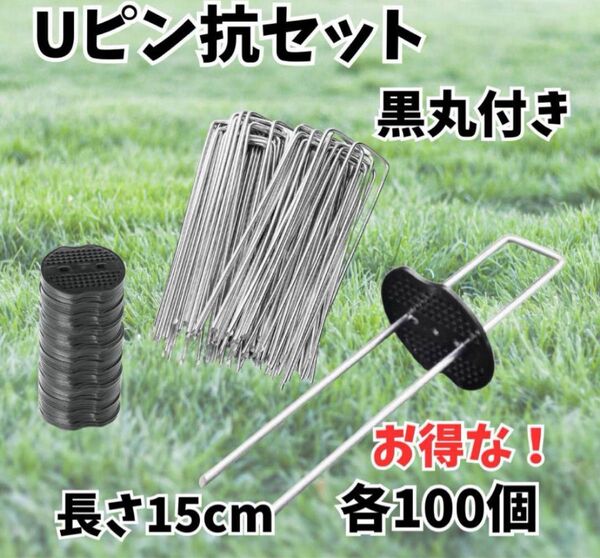 Uピン 杭 園芸 黒丸付き 15cm 100本 防草シート 除草 農業 テント