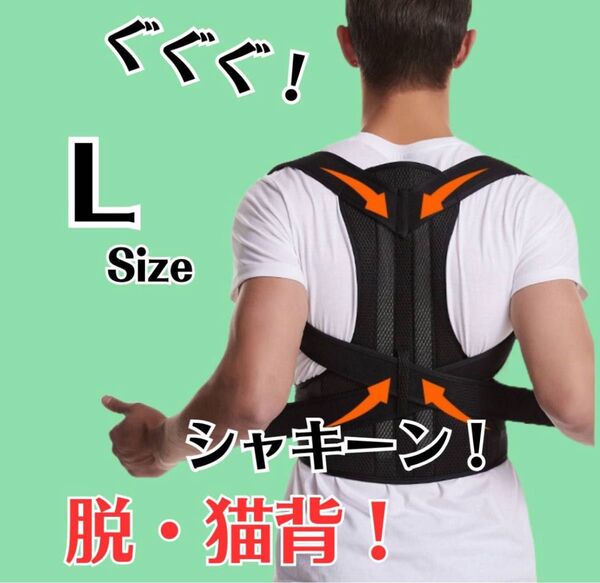 【Lサイズ】猫背 矯正ベルト 姿勢サポーター 腰痛改善 美姿勢 肩こり 背筋