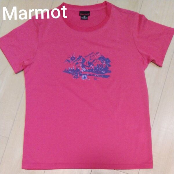 マーモットMarmot 半袖シャツ レディースM