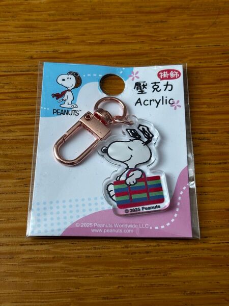 台湾 スヌーピー アクリルキーホルダー SNOOPY ご当地キーホルダー