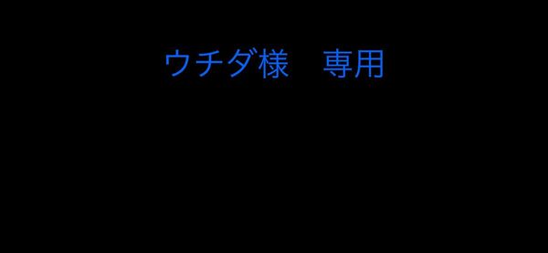 ウチダ様 専用
