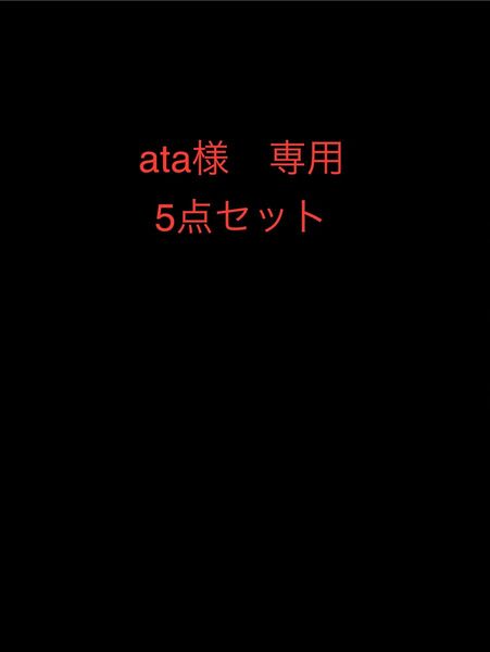 ata 様 専用