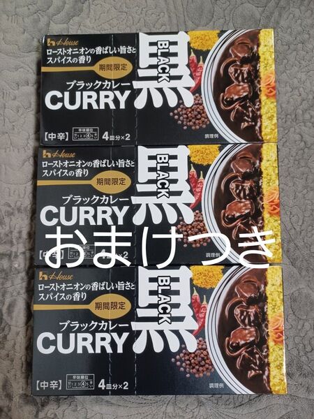 訳ありおまけ2倍!ハウス食品 ブラックカレー 中辛 174g