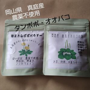 タンポポ・オオバコパウダーセット 富原製茶 粉末シリーズ 農薬不使用 デトックス・目・喉ケアにも