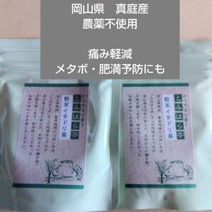 いたどり茶 簡単便利な粉末茶 富原製茶 粉末イタドリ茶 2袋 農薬不使用 毎日の痛み軽減・脂肪燃焼にも