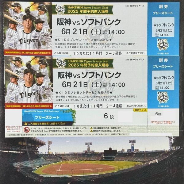 阪神タイガース 甲子園 6月21日 ペア チケット VS 福岡ソフトバンクホークス