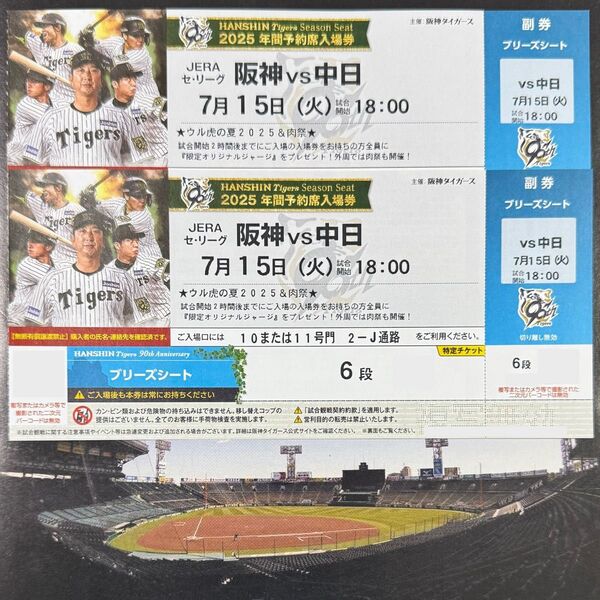 阪神タイガース 甲子園 7月15日 ペア チケット VS 中日ドラゴンズ
