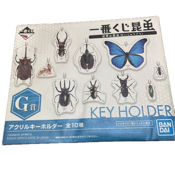 一番くじ 昆虫の世界だいしゅうごう! アクリルキーホルダー