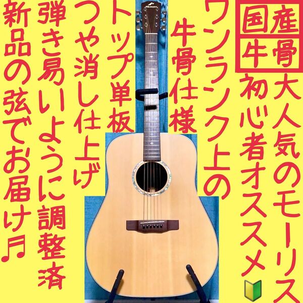 【国産★牛骨】MORRIS!M-801【弾き易く調整☆新品弦】