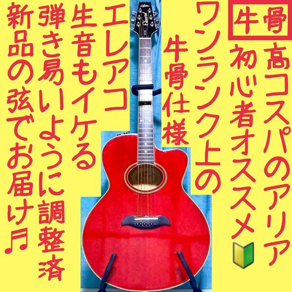 【牛骨★エレアコ】ARIA!ELECODE!エレコード【弾き易く調整☆新品の弦】