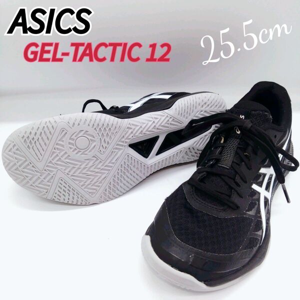 ASICS アシックス ゲルタクティク12 バレーボール シューズ 25.5cm