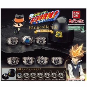 コンプ 家庭教師ヒットマンREBORN!Ringcolle!DX ボンゴレリング