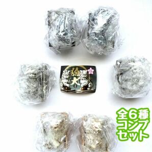 コンプ 狛犬 宝珠 全6種セット ガチャ 獅子 獅子狛犬 フィギュア