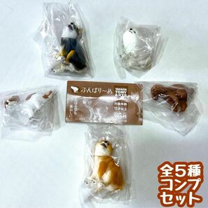 5種セット ふんばり~ぬ ガチャ 犬 イヌ いぬ ふんばりーぬ