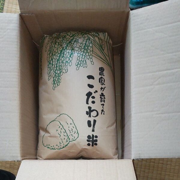 令和5年産 福島県産コシヒカリ玄米10kg