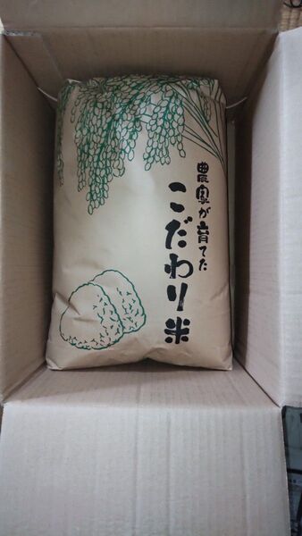 令和5年産 福島県産コシヒカリ 玄米 10kg