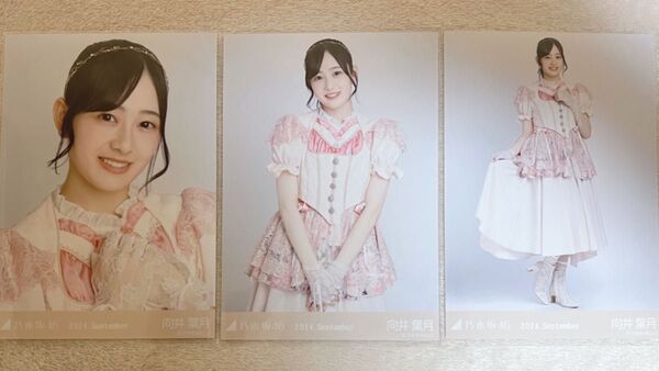 元乃木坂46 向井葉月 生写真 全ツ衣装1 3種コンプ