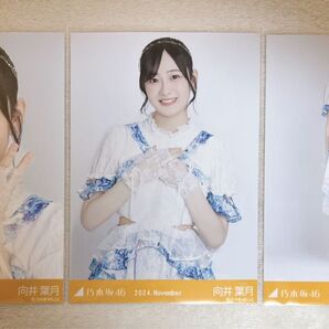 元乃木坂46 向井葉月 生写真 全ツ衣装2 3種コンプ