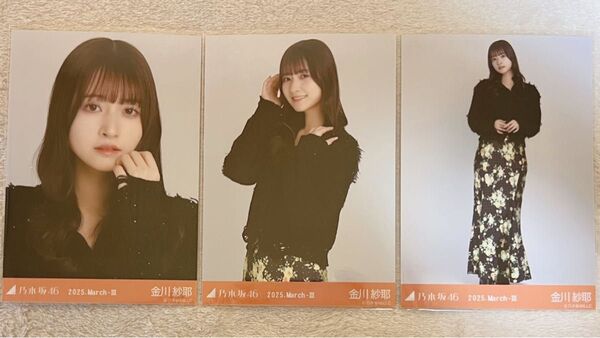 乃木坂46 金川紗耶 生写真 ジップアップカーデ 3種コンプ